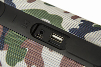 DENN DBS IPX406