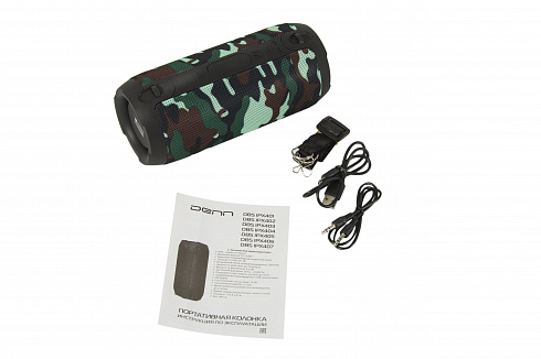 DENN DBS IPX404
