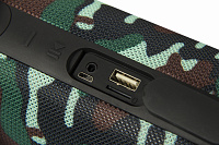 DENN DBS IPX404