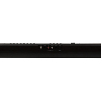 Электронное пианино DENN PRO PW01 BK