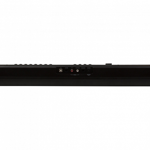 Электронное пианино DENN PRO PW01 BK