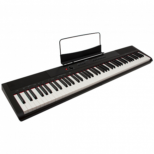 Электронное пианино DENN PRO PW01 BK