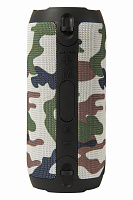 DENN DBS IPX406