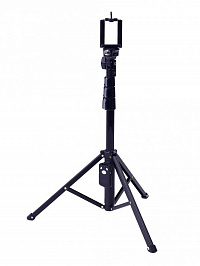 DENN PRO DSS BLOGGER