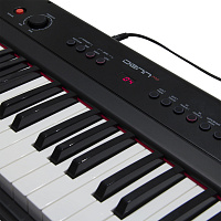Электронное пианино DENN PRO PW01 BK